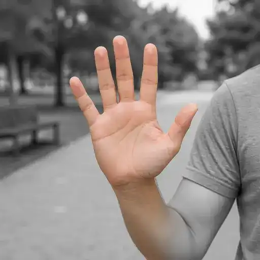 hand