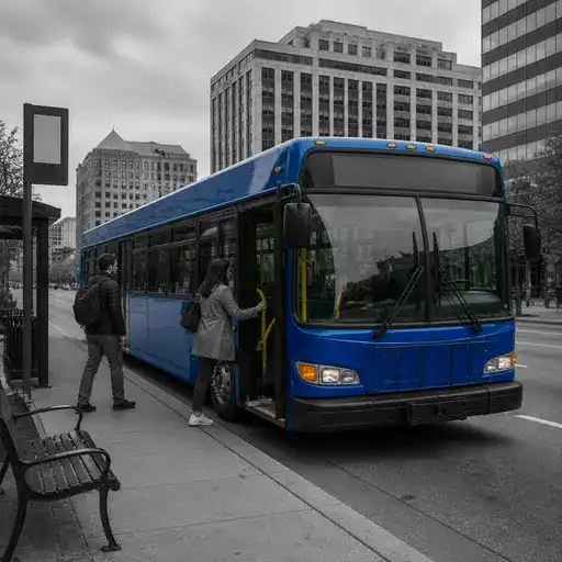 bus